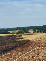Flächenbrand bei Trebra Bild: Flächenbrand bei Trebra
