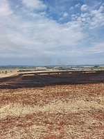 Flächenbrand bei Trebra Bild: Flächenbrand bei Trebra