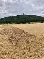 Am Fuße des Kyffhäuser entsteht ein Bodenbild zu Ehren Friedrich Barbarossas Bild: Am Fuße des Kyffhäuser entsteht ein Bodenbild zu Ehren Friedrich Barbarossas