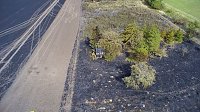 Brand eines Stoppelfeldes bei Bretleben Bild: Brand eines Stoppelfeldes bei Bretleben