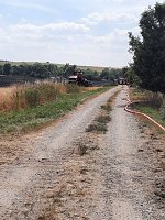 Brand eines Stoppelfeldes bei Bretleben Bild: Brand eines Stoppelfeldes bei Bretleben