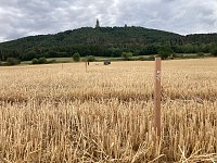 Entstehung des Bodenbildes in Bad Frankenhausen Bild: Entstehung des Bodenbildes in Bad Frankenhausen