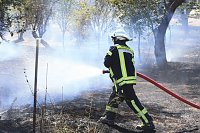 Flächenbrand zwischen Groß- und Kleinfurra Bild: Flächenbrand zwischen Groß- und Kleinfurra