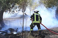 Flächenbrand zwischen Groß- und Kleinfurra Bild: Flächenbrand zwischen Groß- und Kleinfurra