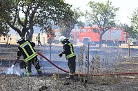 Flächenbrand zwischen Groß- und Kleinfurra Bild: Flächenbrand zwischen Groß- und Kleinfurra