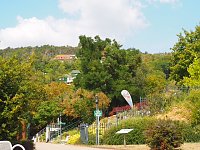 Bild: Besuch in Bad Frankenhausen
