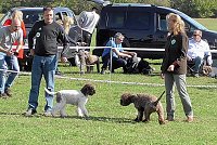 Clubschau am Stausee Bild: Clubschau am Stausee
