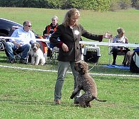 Clubschau am Stausee Bild: Clubschau am Stausee