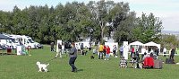 Clubschau am Stausee Bild: Clubschau am Stausee