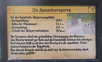 Peter Blei unterwegs an der Hasselvorsperre Bild: Peter Blei unterwegs an der Hasselvorsperre