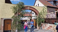 Unterwegs auf der Saale-Weinmeile Bild: Unterwegs auf der Saale-Weinmeile