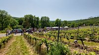 Unterwegs auf der Saale-Weinmeile Bild: Unterwegs auf der Saale-Weinmeile