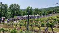 Unterwegs auf der Saale-Weinmeile Bild: Unterwegs auf der Saale-Weinmeile