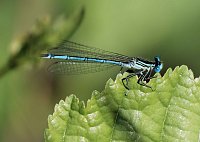 Bild: Die Wunder der Natur eingefangen von der Kamera