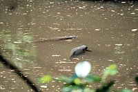 Bild: Die Wunder der Natur eingefangen von der Kamera