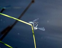 Bild: Die Wunder der Natur eingefangen von der Kamera