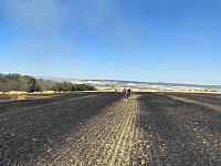 Bild: Feldbrand bei Kleinroda