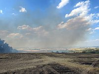 Bild: Brand eines Feldes bei Reinsdrof