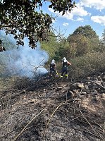 Bild: Brand eines Feldes bei Reinsdrof