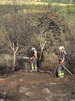Bild: Brand eines Feldes bei Reinsdrof
