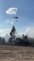 Bild: Brand eines Feldes bei Reinsdrof
