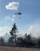 Bild: Brand eines Feldes bei Reinsdrof