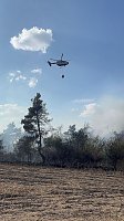 Bild: Brand eines Feldes bei Reinsdrof