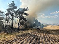 Bild: Brand eines Feldes bei Reinsdrof