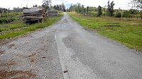 Bild: Der Weg vom Grillplatz in Richtung "Waldschl&ouml;sschen", der einst von hohen Fichten rechts und links flankiert war.