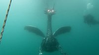 Bild: Drachen-Alarm am Sundh&auml;user Kiesteich