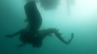 Bild: Drachen-Alarm am Sundh&auml;user Kiesteich