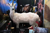 Bild: Leipziger Buchmesse 2024