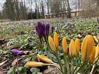 Ein Besuch in der Rosenstadt Bad Langensalza lohnt sich Bild: Ein Besuch in der Rosenstadt Bad Langensalza lohnt sich