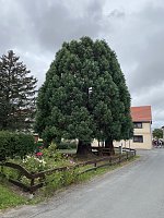 Bild: Herbstwanderung mit Wolfgang Lehmann