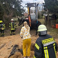 Das Pferd war in eine frühere, jetzt leere, Güllegrube gerutscht. Bild: Das Pferd war in eine frühere, jetzt leere, Güllegrube gerutscht.