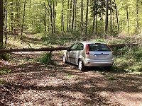 Der Unfall passierte in einem Waldstück bei Schernberg. Bild: Der Unfall passierte in einem Waldstück bei Schernberg.