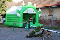 Aufstellung des Maibaums in Kelbra Bild: Aufstellung des Maibaums in Kelbra