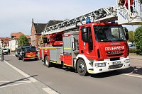 Festumzug zu 1030. Jahren Roßla Bild: Festumzug zu 1030. Jahren Roßla