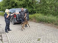 Bild: In Sondershausen wird ein Mensch gesucht, der wohlm&ouml;glich in die Wipper gegangen ist.