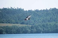 Bild: Impressionen vom Stausee Kelbra