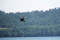 Bild: Impressionen vom Stausee Kelbra
