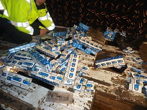 "Kippen" entdeckt
