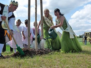 17. Lindenbl&uuml;tenfest