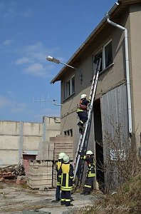 Erfolgreich ausgebildeter Nachwuchs