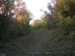 Besch&auml;digungen an Wanderwegen