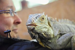 Reptilien Ausstellung