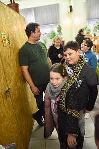 Reptilien Ausstellung