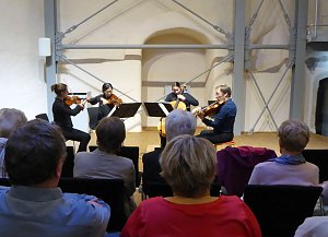 Spielfreude und Temperament