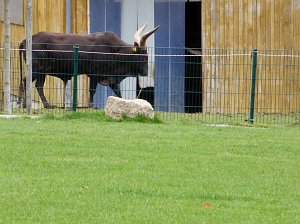 Der Possen- sch&ouml;n zu jeder Jahreszeit