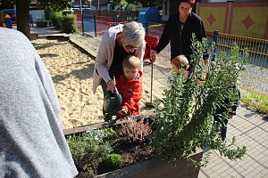 Herbstputz und Herbstpflanzung in Stocksen